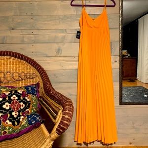 NWT Express Maxi Dress